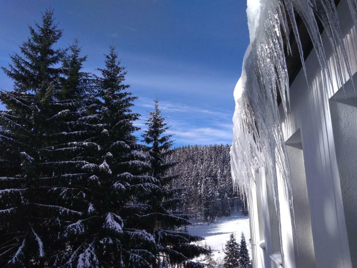 Greizer Kammhütte Gaststätte&Pension Klingenthal Exterior foto