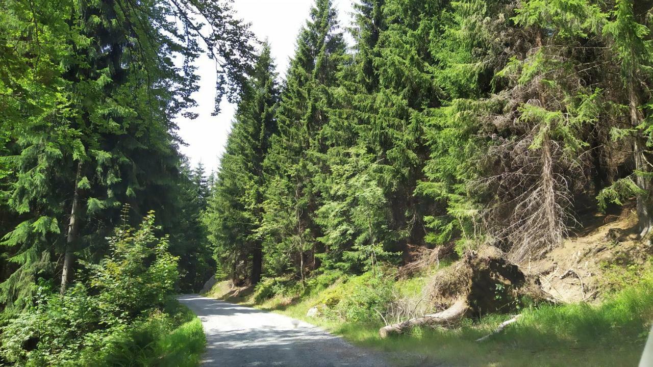 Greizer Kammhütte Gaststätte&Pension Klingenthal Exterior foto